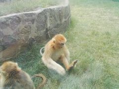 -西安秦岭野生动物园