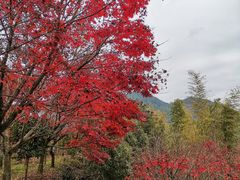 -丹山赤水风景名胜区