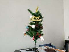 -广西大学(大学东路校区)