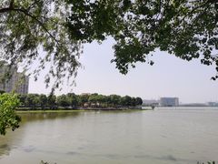 -金银湖国家城市湿地公园