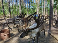 -北极村旅游风景区