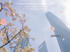 -上海环球金融中心骑迹50年环球之旅