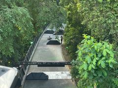 -圣淘沙天际线斜坡滑车