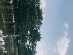 -海珠湖公园