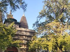 -北京石刻艺术博物馆(五塔寺)