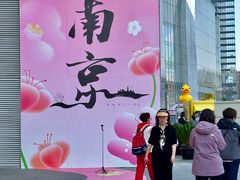-金茂览秀城