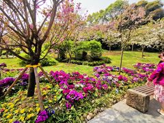 -南山植物园