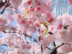 -静安雕塑公园