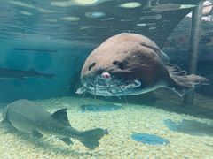 -成都浩海立方海洋公园