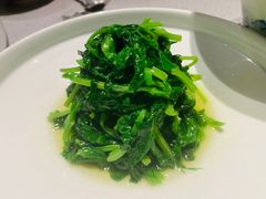 -柿合缘新京菜(国金中心商场店)