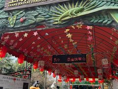 -上海大自然野生昆虫馆(东方明珠·爬宠昆虫探索中心)
