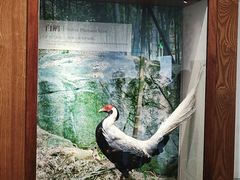 -广东省方志馆