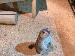 -酷嗒动物文化乐园(cutezoo西溪乐天城店)