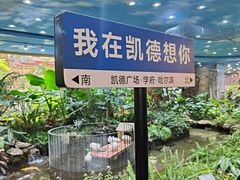-凯德广场(学府店)