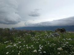 -武陵山森林公园