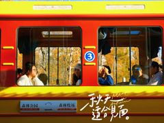 -莫尔道嘎国家森林公园