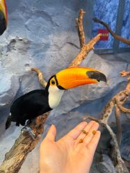 -Zoolung Zoolung动物主题公园(海信广场店)
