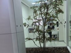 -极简口腔(总院)