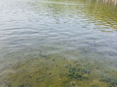 -浙江省博物馆(孤山馆区)