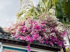 -深圳国际园林花卉博览园