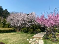 -棒棰岛宾馆景区