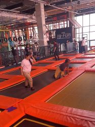 -嗨翻Hi-Fun竞技主题乐园·蹦床团建生日聚会(五棵松华熙店)