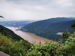 -铁山坪森林公园