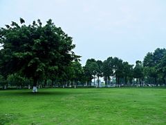 -眉山湿地公园(东坡区)