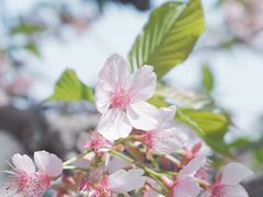-上海辰山植物园