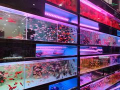 -双季花艺园艺市场(浦东店)