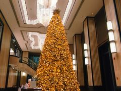 大堂-Social 秀西餐厅-长沙瑞吉酒店(运达店)