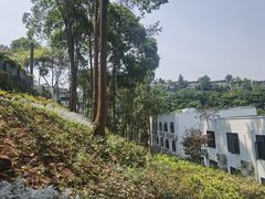 -华凌山庄·隐湖栖