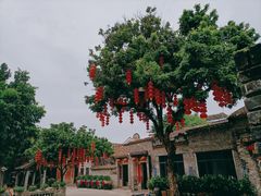 -德云居