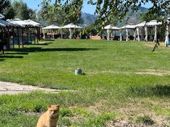 -潭柘厚院(桑峪村店)