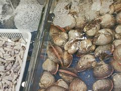 -瑞杰烧烤店·24小时营业(山东路店)
