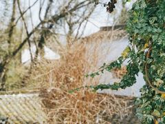 -西溪南古村落景区