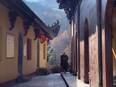 -九华山风景区月身宝殿