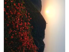 -萍乡武功山风景名胜区