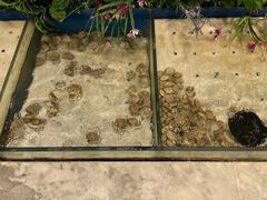 -火锅岛潮牌自助餐厅(天津天佑城店)