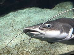 -泉城欧乐堡海洋极地世界