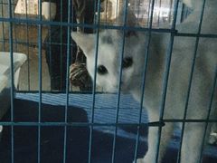 -赢吧Bliss音乐酒吧