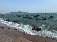-悦海公园