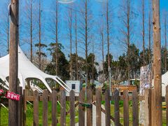 -前小桔亲子创意农场·草莓采摘·露营烧烤