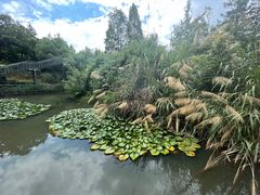 -天台山琼台仙谷景区