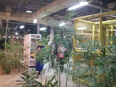 大堂-红栌温泉山庄生态美食餐厅