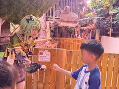 -正佳雨林生态植物园