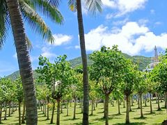 -三亚南山文化旅游区