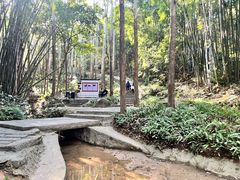 -黄埔油麻山森林公园