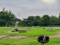 -宁波野生动物园