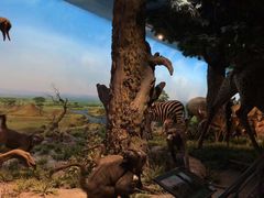 -国家自然博物馆